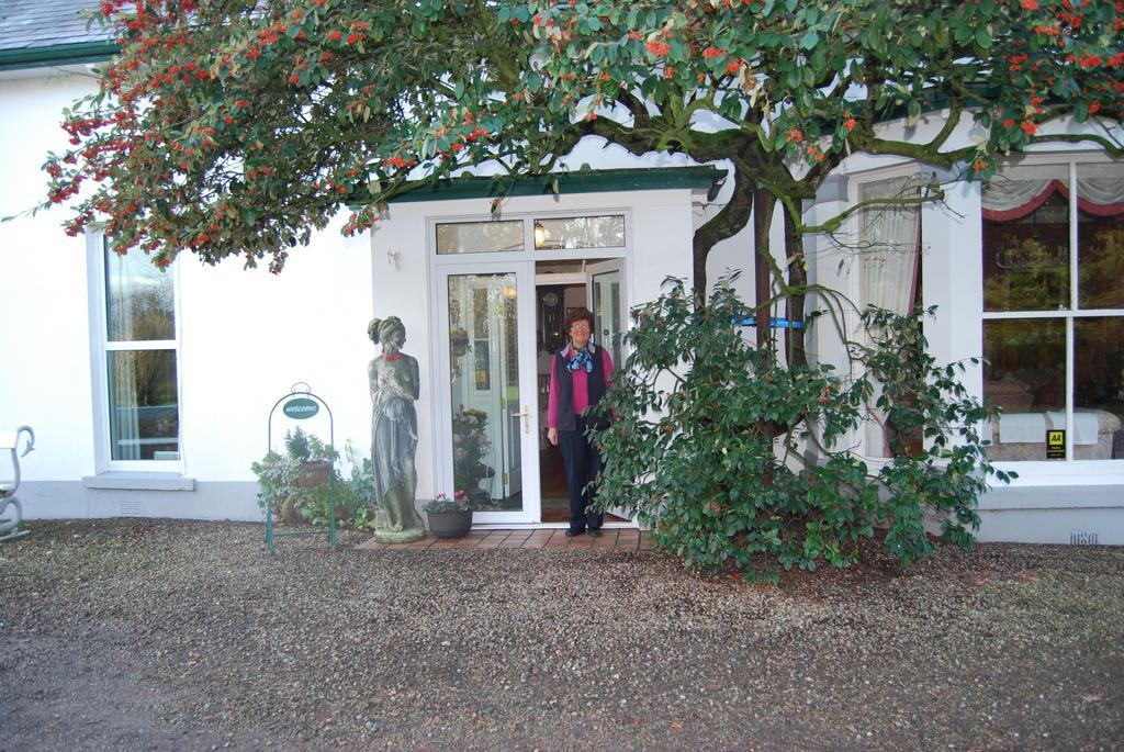 דנגאנון Grange Lodge Country House מראה חיצוני תמונה